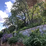 Curiel 住宿加早餐酒店 卡斯塔涅托卡尔杜奇